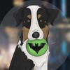 Telegram channel Граф Дракула🐾🌿 logo
