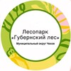 Логотип телеграм канала @gubernsky_les — Лесопарк Губернский лес