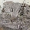 Логотип телеграм канала @gubitel_speak — Губительные силы