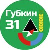 Логотип телеграм канала @gubkin31rus — Губкин 31