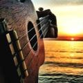 Logo saluran telegram guitar_v — ویسِ گیتاری🎸