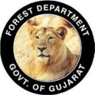 Logo saluran telegram gujarat_forestguard — Gujarat Forest