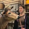 Логотип телеграм канала @gulchak19 — Оля Гульчак 🕊️