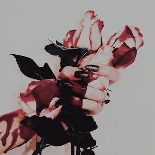 لوگوی کانال تلگرام gulli_xwenawy — ᷂گوڵی ᷂خوێناوی🥀