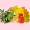 Logo of telegram channel gummiesediblesthccbd — Gummies Edibles THC/CBD