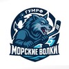Логотип телеграм канала @gumrf_hockey — ХК «Морские волки»