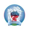 Logo of telegram channel guneyazfront1 — Guney AZfront