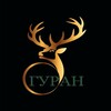 Логотип телеграм канала @guran75fm — Гуран Информационный ресурс 🇷🇺