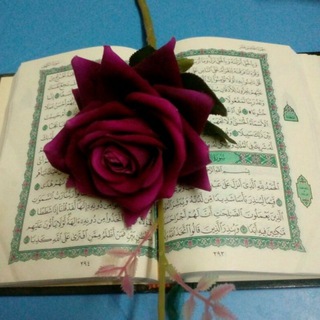 Логотип телеграм канала @gurankareem114 — 🎙️قناة القــــ📖ــــرآن الكريم🎙️