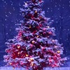 Логотип телеграм канала @gutaritinews — 🎄Гутарити News🚨️