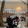 Логотип телеграм канала @gv_ponytown — Новостной Гора Волков | Pony Town