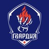Логотип телеграм канала @gvardia_sport — Гвардия