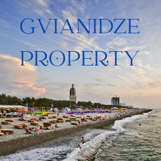 Логотип телеграм канала @gvianidze_property — Аренда Квартир в Батуми