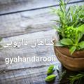 لوگوی کانال تلگرام gyahandaroy1 — گیاهان دارویی🍀
