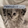 Логотип телеграм канала @gym10loves — в 10 гимназии любят