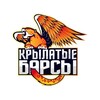 Логотип телеграм канала @gymnasticsteambars — «Крылатые барсы» TAG🪽