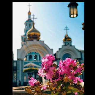 Логотип телеграм канала @gypsysongs — Цыганские песни