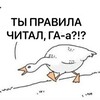 Логотип телеграм канала @gys_b — Прошмандовки Barista Help