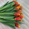 Логотип телеграм канала @gzh38 — Горзеленхоз. Цветы. Иркутск