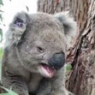 Логотип телеграм канала @h_yum — Что в мире