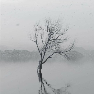 Logotipo del canal de telegramas h1st0ryn3w - 𝘯𝘦𝘸 𝘩𝘪𝘴𝘵𝘰𝘳𝘺