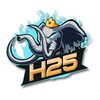 Logo of telegram channel h25affiliate — H25 AFFILIATE🎰