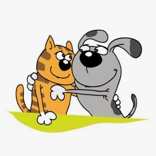 Логотип телеграм канала @ha_ha_videos — 🐾КОТИКИ И БОБИКИ🐶