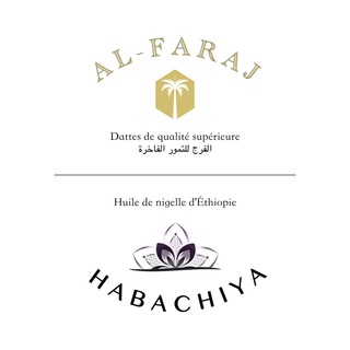 Logo de la chaîne télégraphique habachiya - habachiya.com