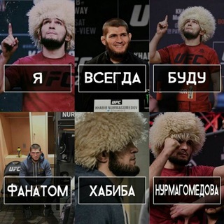Telegram kanalining logotibi habib_nurmagomedov_1988 — Habib Nurmagomedov