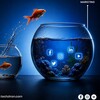 电报频道的标志 habsfha — ai编程辅助