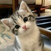 Логотип телеграм канала @hadi0706 — ㅤㅤحب