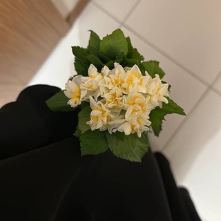Логотип телеграм канала @hadidja_m23 — Хадиджа | Блог ✨