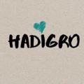 Логотип телеграм канала @hadigro_1 — HADIGRO