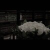 Логотип телеграм канала @hadisnisaaa — хадисы о женщинах