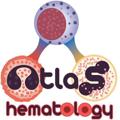 Logo saluran telegram haematopathology — Hematopathology & Cytopathology International Cases🇺🇳