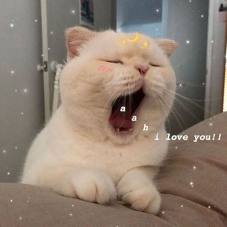 لوگوی کانال تلگرام hagybray — سَــــــــدَنْ ..🧚🏽‍♀💛!