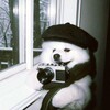 Логотип телеграм канала @hahachuu71 — Ликуся спит 💤