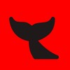 Логотип телеграм канала @hahakitai — КИТ