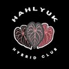 Логотип телеграм канала @hahlyuk_hybridclub — Hahlyuk Hybrid Club