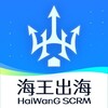 电报频道的标志 haiwangapp — 海王出海SCRM-聚合自动翻译计数器