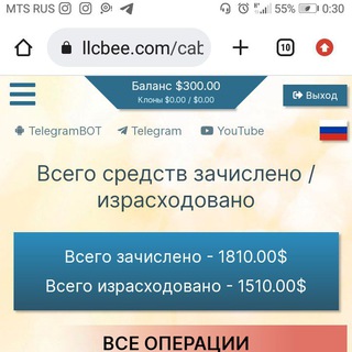 Логотип телеграм канала @hakimova_davl — 🟢📣Гостевой чат команды #Бифри🟢