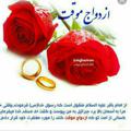 Logo saluran telegram halallseghe — موسسه صیغه و نکاح حلال تبیان