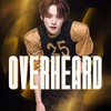 Логотип телеграм канала @halcyonoverheard — overheard.