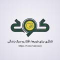 لوگوی کانال تلگرام halecook — حالِ کوک