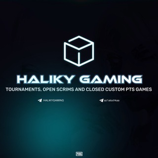 Логотип телеграм канала @halikygaming — HALIKY GAMING