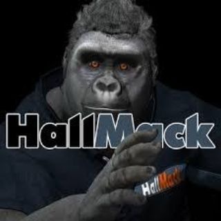 Logo des Telegrammkanals hallmacktv - HallMack