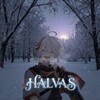 Логотип телеграм канала @halvass1 — 𝑯𝑨𝑳𝑽𝑨𝑺🌙