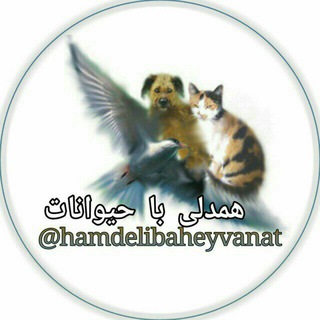 لوگوی کانال تلگرام hamdelibaheyvanat — همدلی با حیوانات
