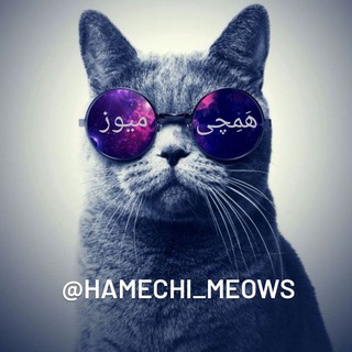 لوگوی کانال تلگرام hamechi_meows — هَمِچی میوز | Hamechi meows