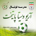Logo saluran telegram hamidfifa — موسسه فرهنگي ورزشي (آريو ويستا پايتخت)